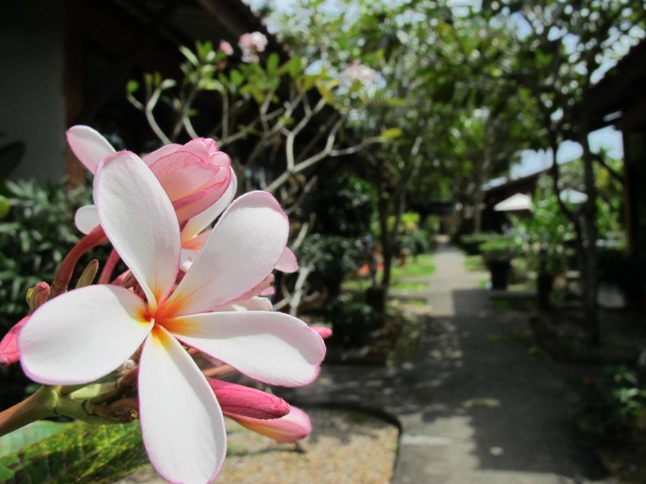 Phuket Siam Villas - Sha Plus Chalong Exterior foto